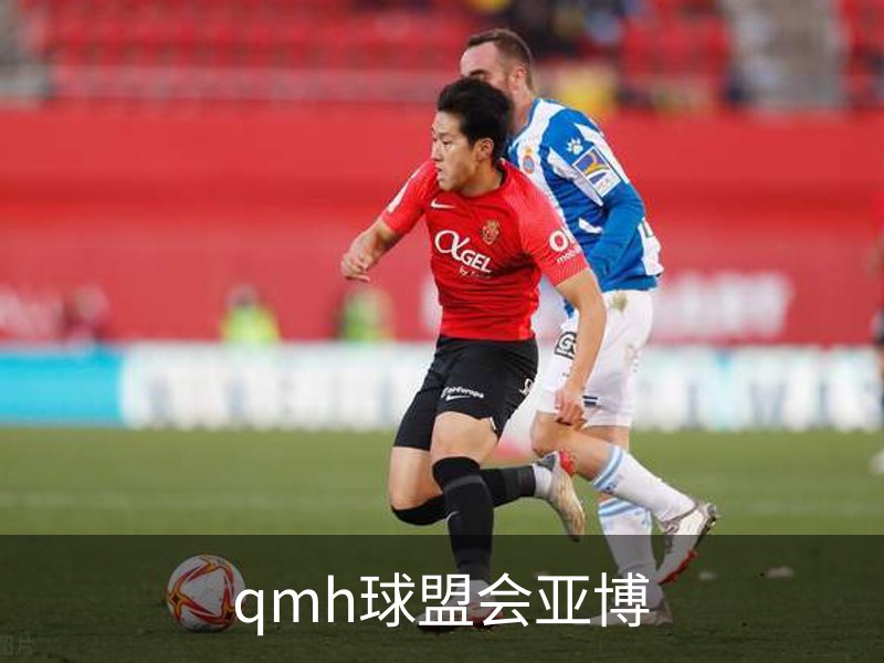 了解qmh球盟会亚博